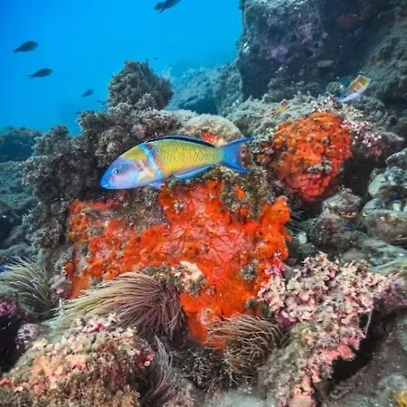 Roquetas Costa * רוקאוטס דה מר